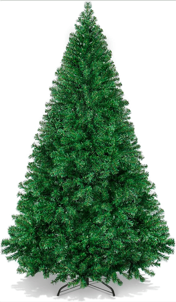 Rent a Christmas Tree
