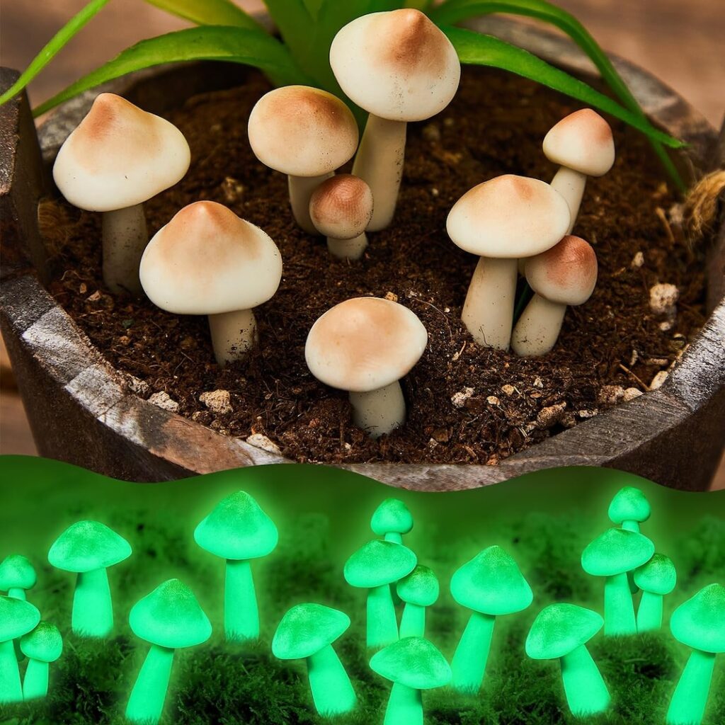 Glowing Mushrooms