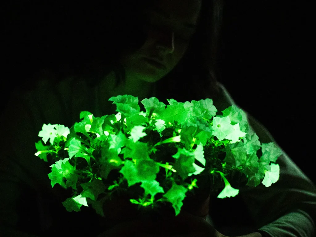 Glow In the Dark Flowers