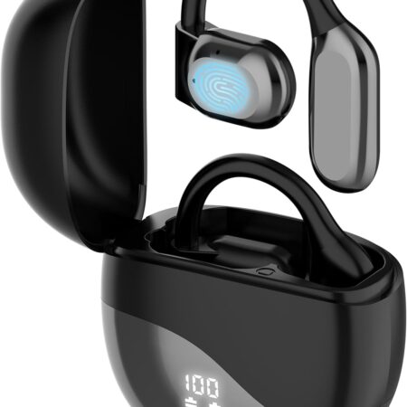 Translator Ear Buds